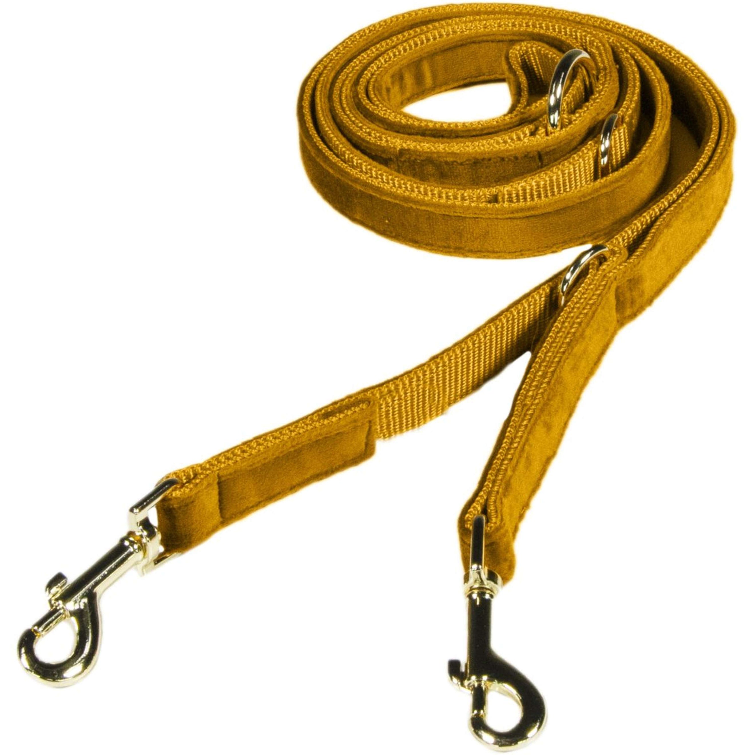 Kentucky Dogwear Guinzaglio per Cane Velvet Senape