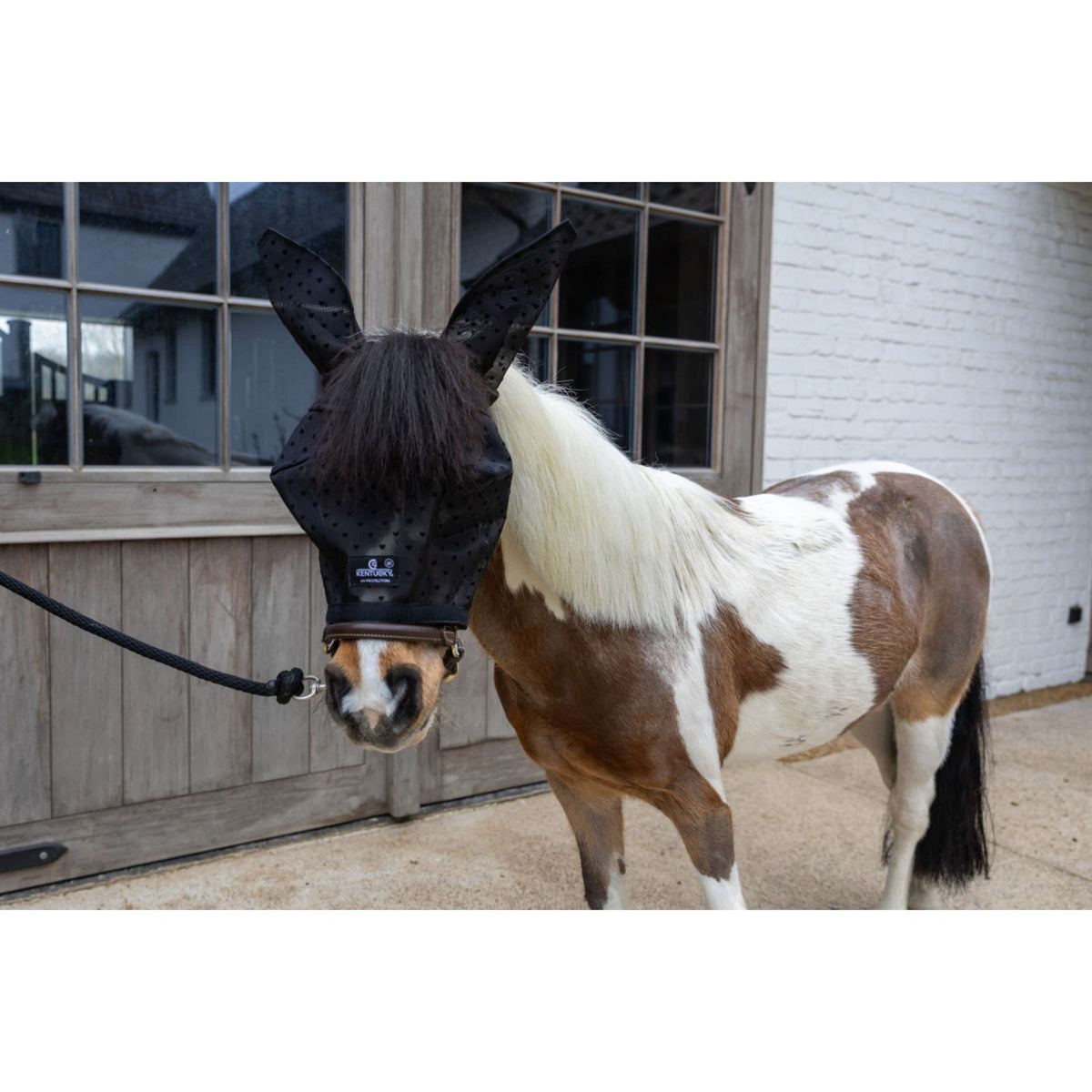 Kentucky Maschera per Mosche Heart con Orecchie e Naso Nero