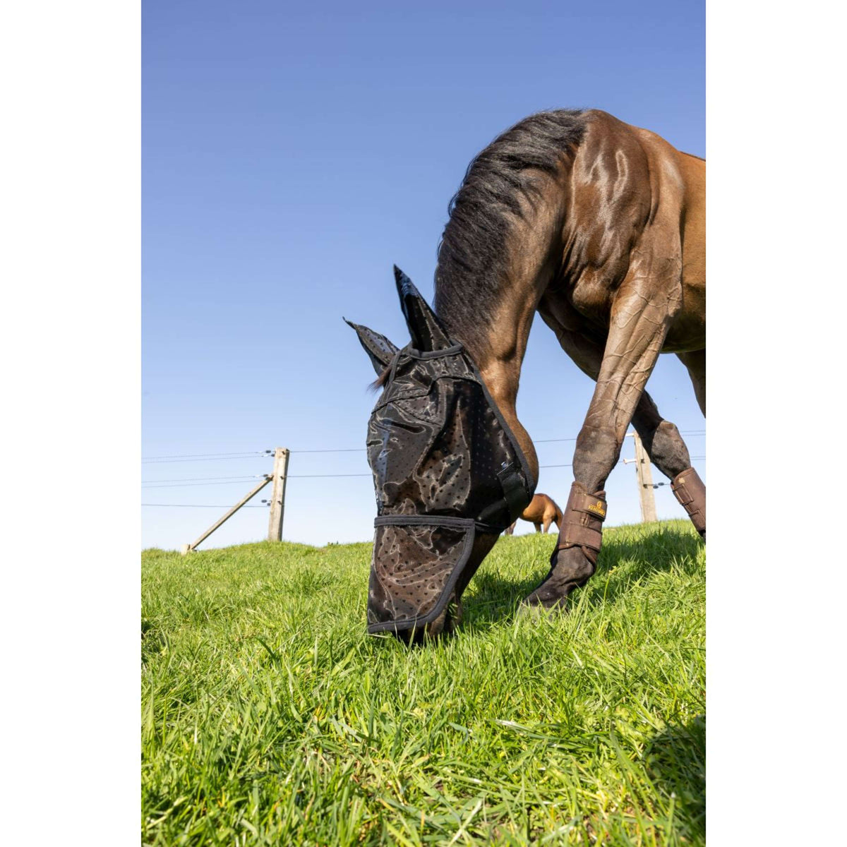 Kentucky Maschera per Mosche Heart con Orecchie e Naso Nero