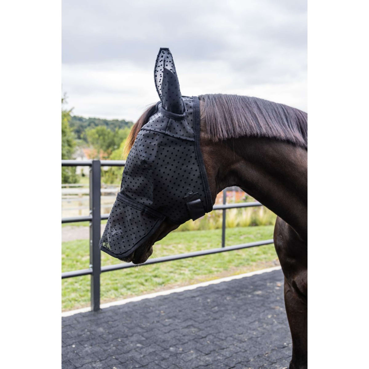 Kentucky Maschera per Mosche Heart con Orecchie e Naso Nero