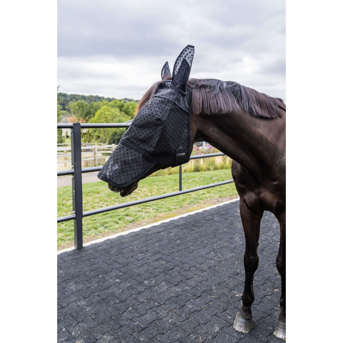 Kentucky Maschera per Mosche Heart con Orecchie e Naso Nero