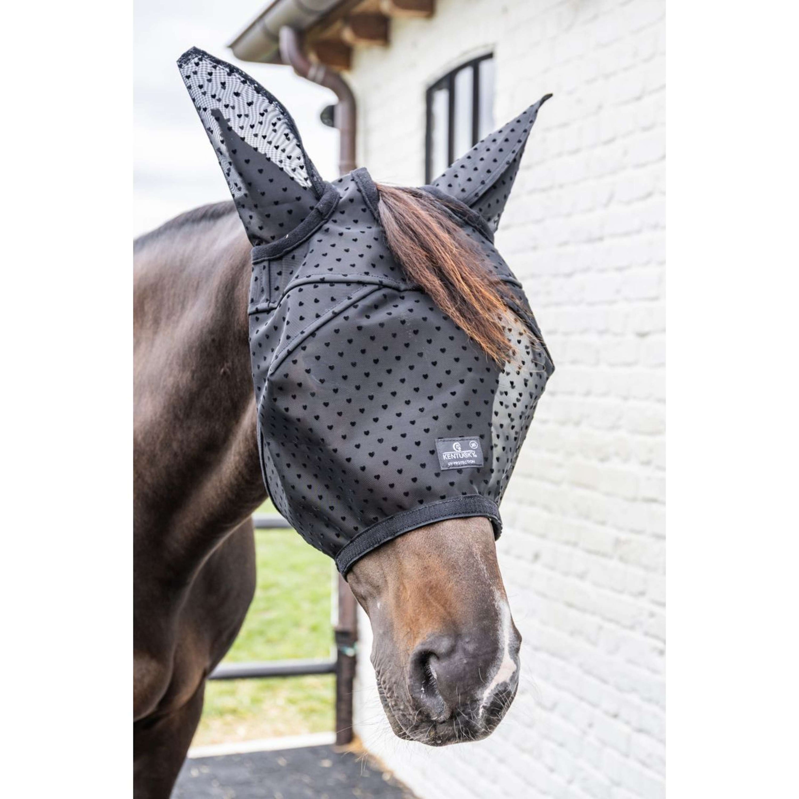 Kentucky Maschera per Mosche Heart con Orecchie e Naso Nero