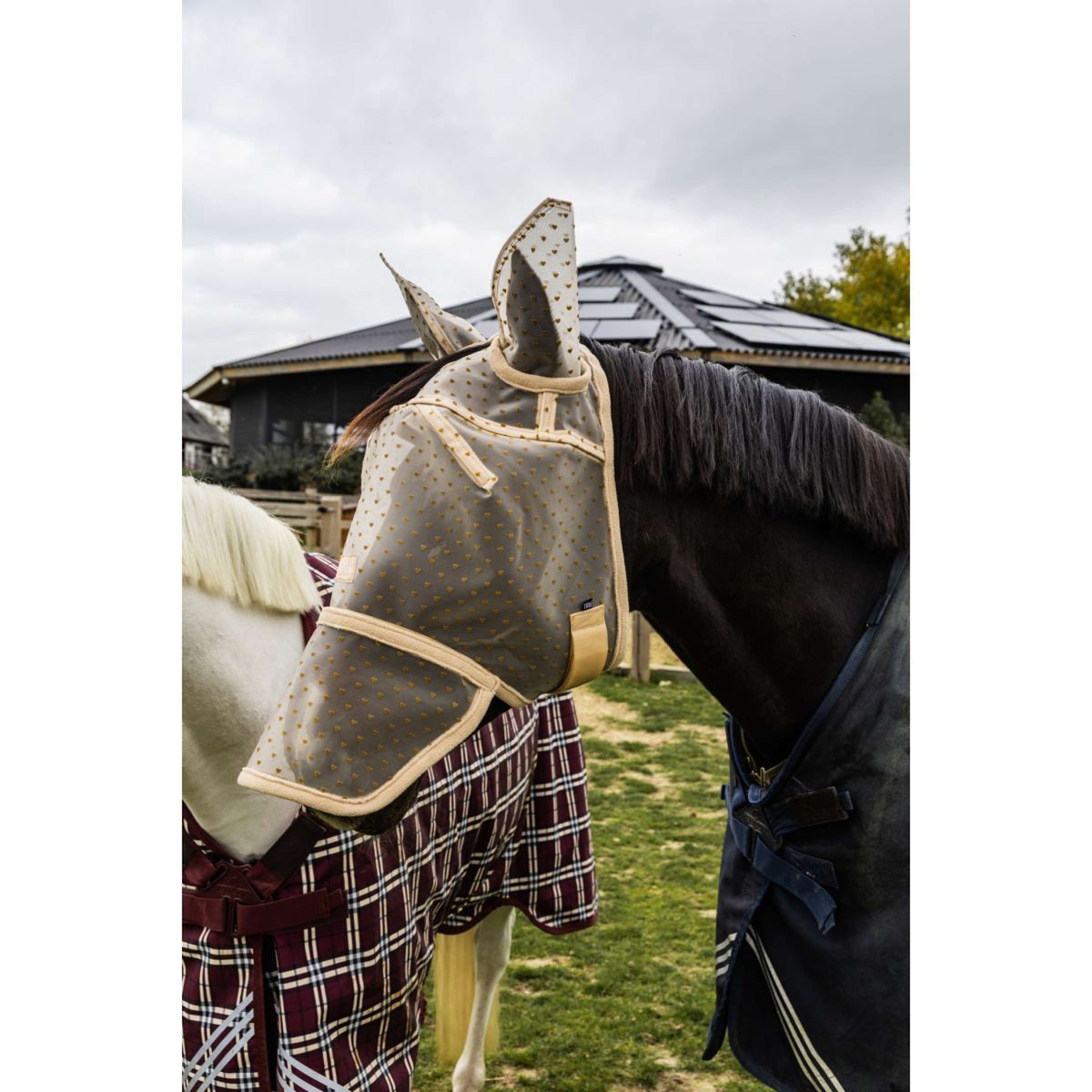 Kentucky Maschera per Mosche Heart con Orecchie e Naso Beige