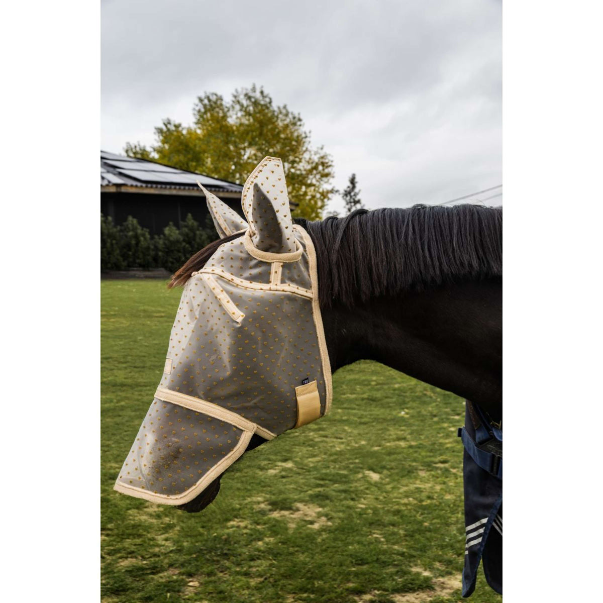 Kentucky Maschera per Mosche Heart con Orecchie e Naso Beige