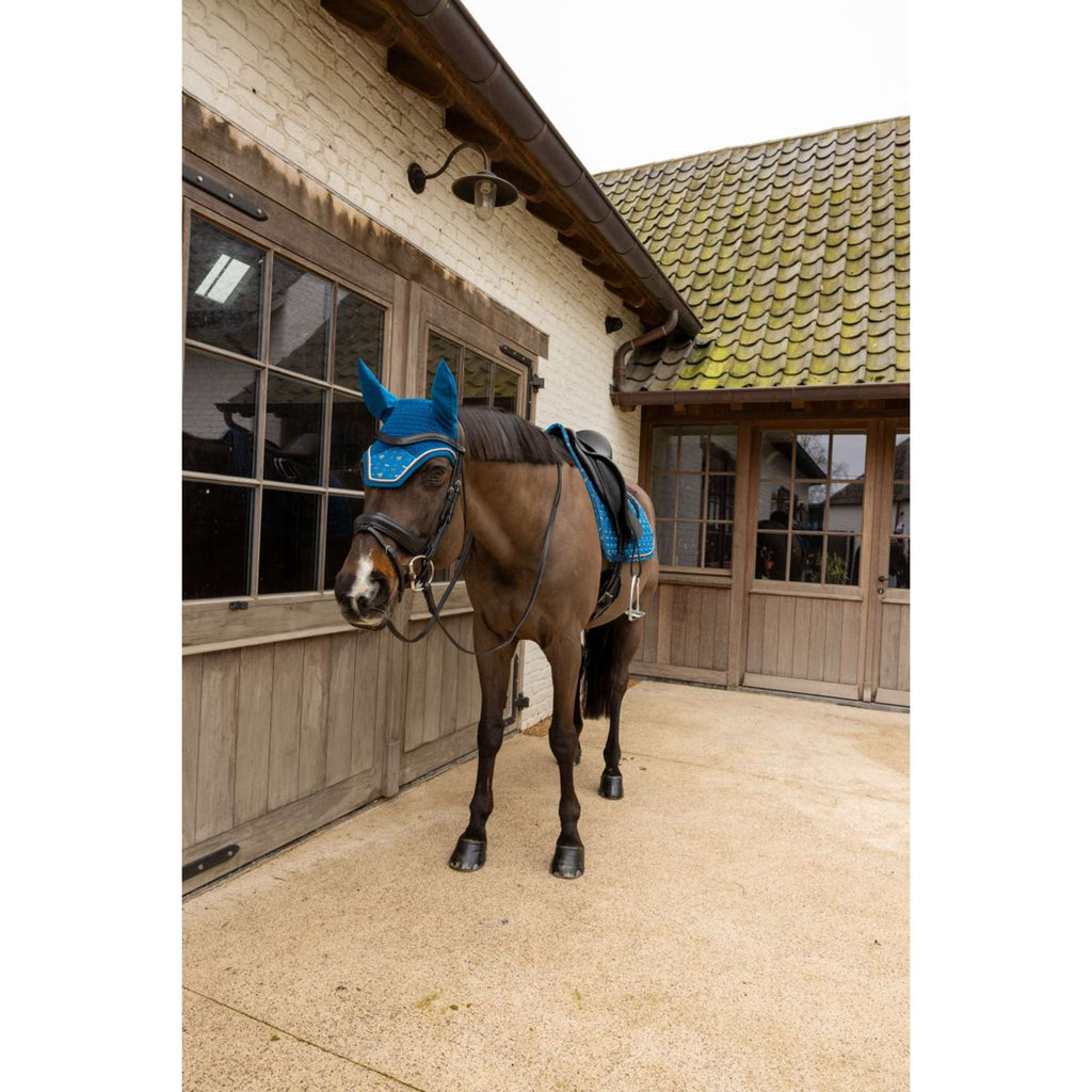 Kentucky Cuffietta Wellington Velvet Horse Printing Navy