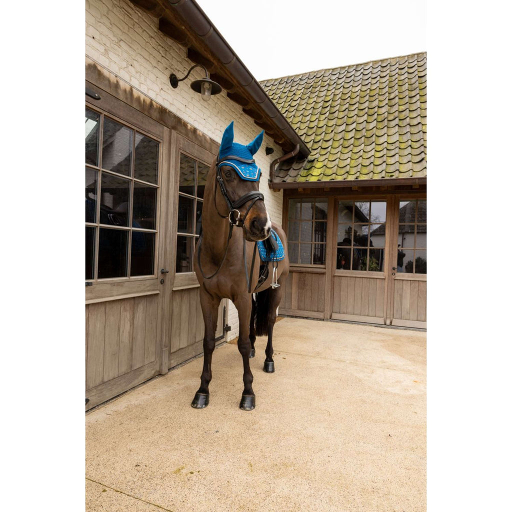 Kentucky Cuffietta Wellington Velvet Horse Printing Navy