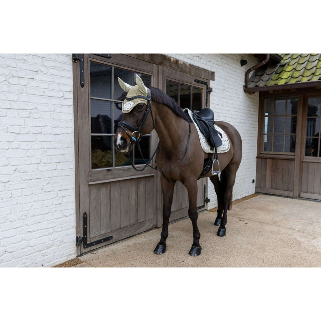 Kentucky Cuffietta Wellington Velvet Horse Printing Beige