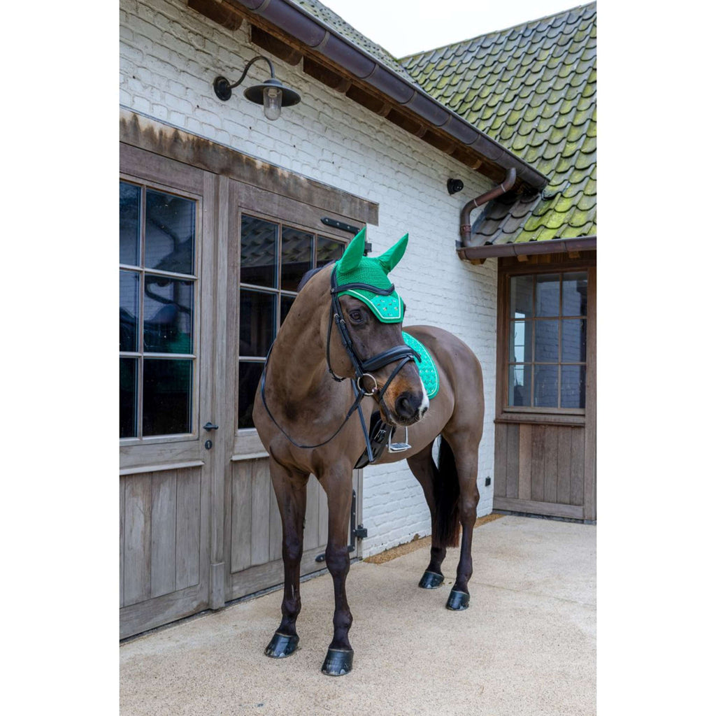 Kentucky Cuffietta Wellington Velvet Horse Printing Verde