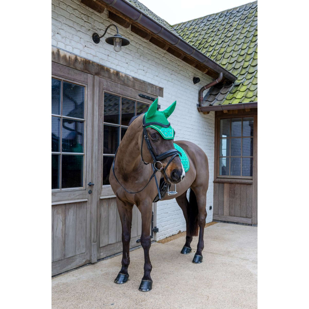 Kentucky Cuffietta Wellington Velvet Horse Printing Verde