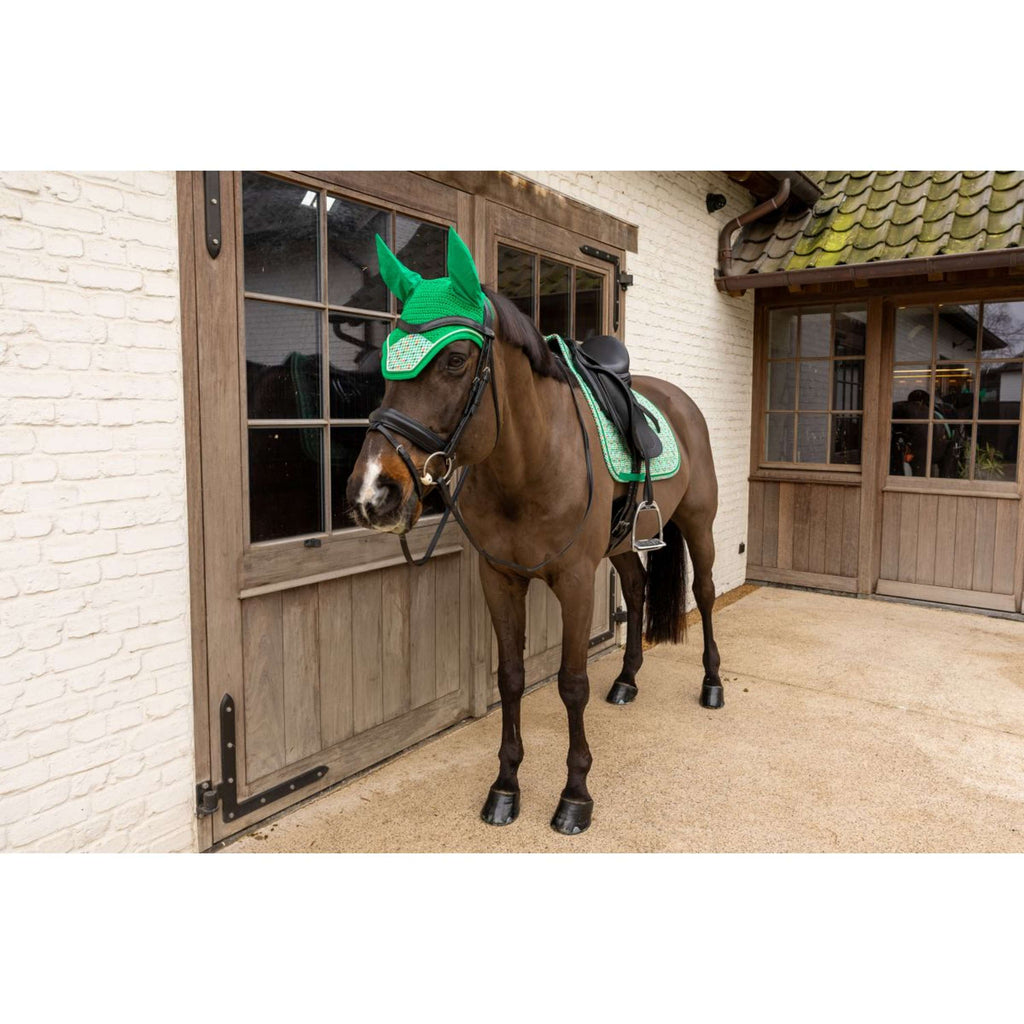 Kentucky Cuffietta Wellington Velvet Pied De Poule Verde chiaro