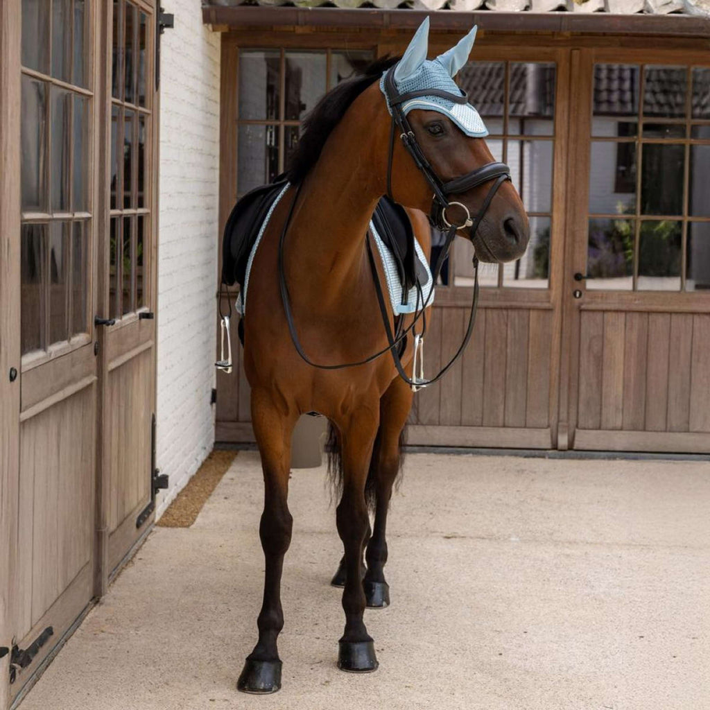 Kentucky Sottosella Velvet Flags Dressage Azzurro