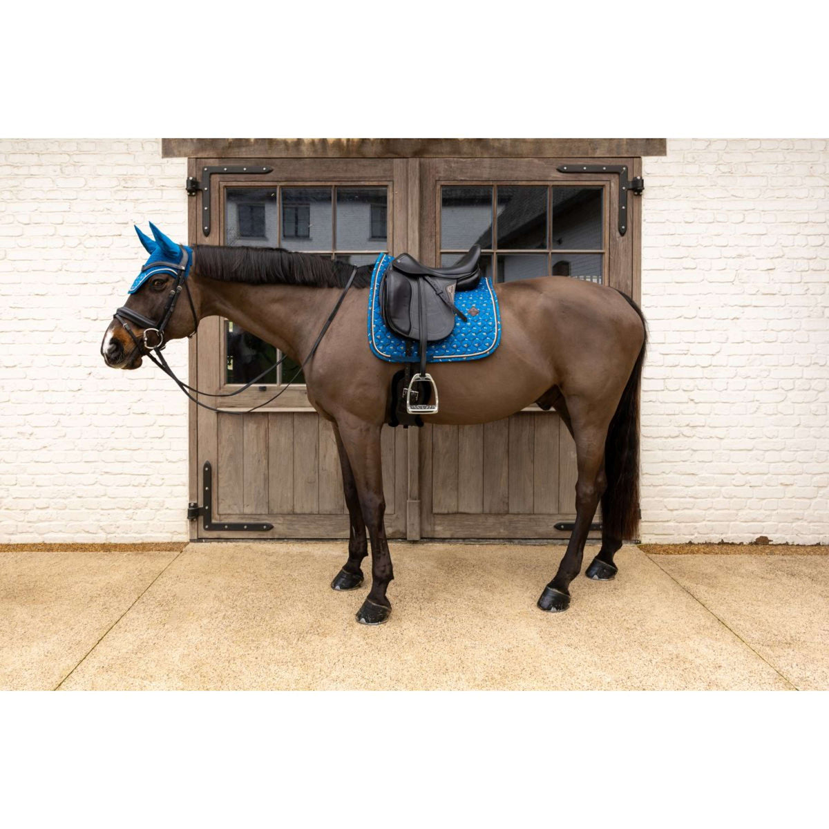 Kentucky Sottosella Velvet Horse Printing Dressage Navy