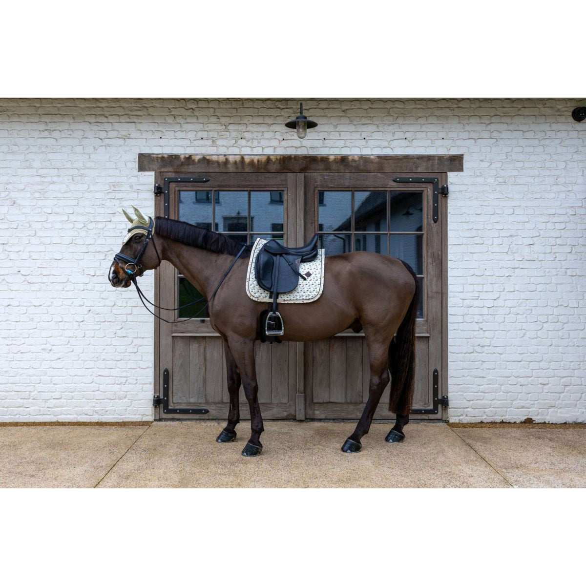 Kentucky Sottosella Velvet Horse Printing Dressage Beige