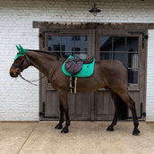 Kentucky Sottosella Velvet Horse Printing saltando Verde