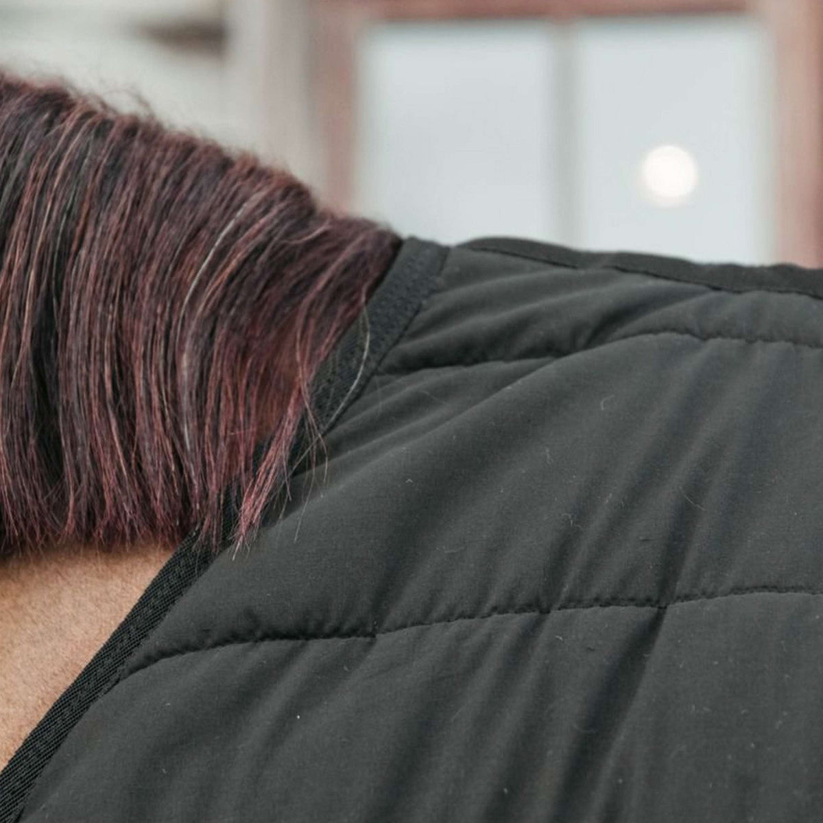 Kentucky Horsewear Sottocoperta Skin Friendly 150g Nero