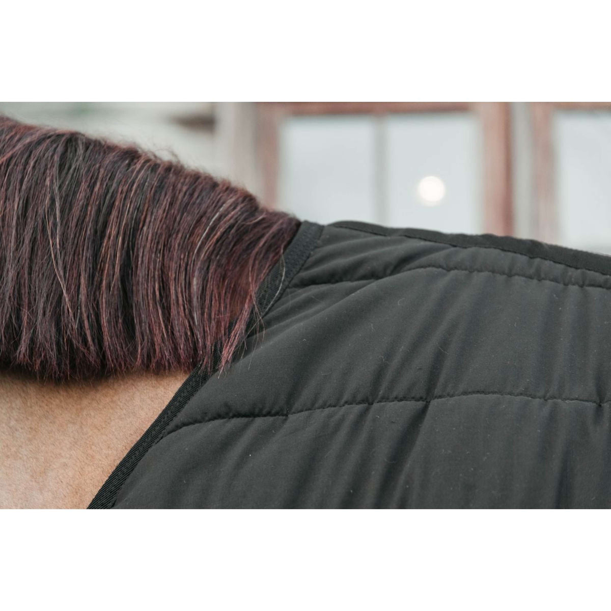 Kentucky Sottocoperta Skin Friendly 300g Nero