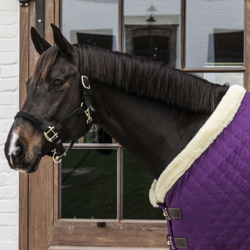 Kentucky Horsewear Coperta da esposizione Royal Viola