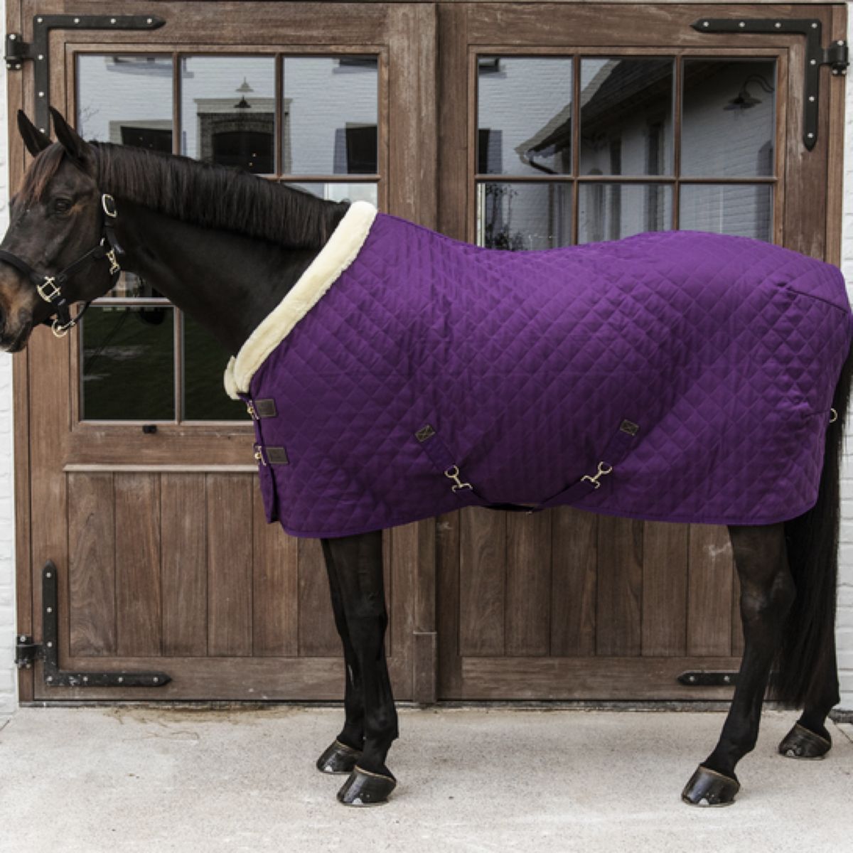 Kentucky Horsewear Coperta da esposizione Royal Viola