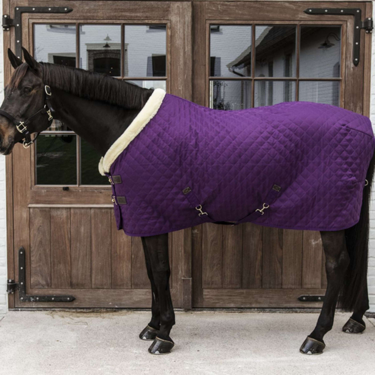Kentucky Horsewear Coperta da esposizione Royal Viola