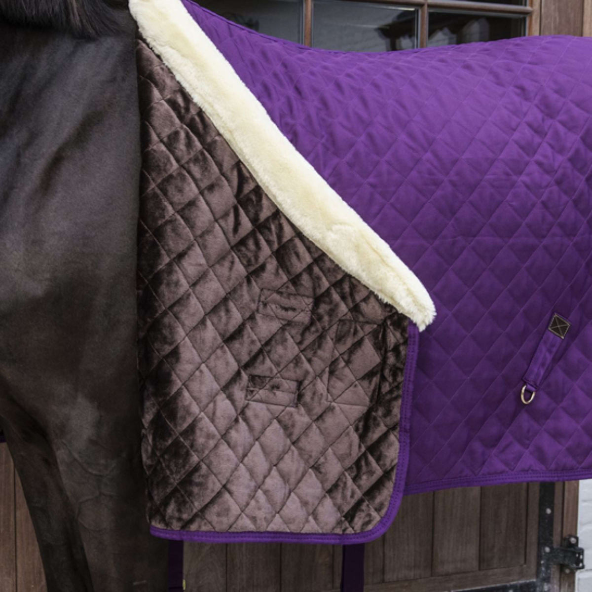 Kentucky Horsewear Coperta da esposizione Royal Viola
