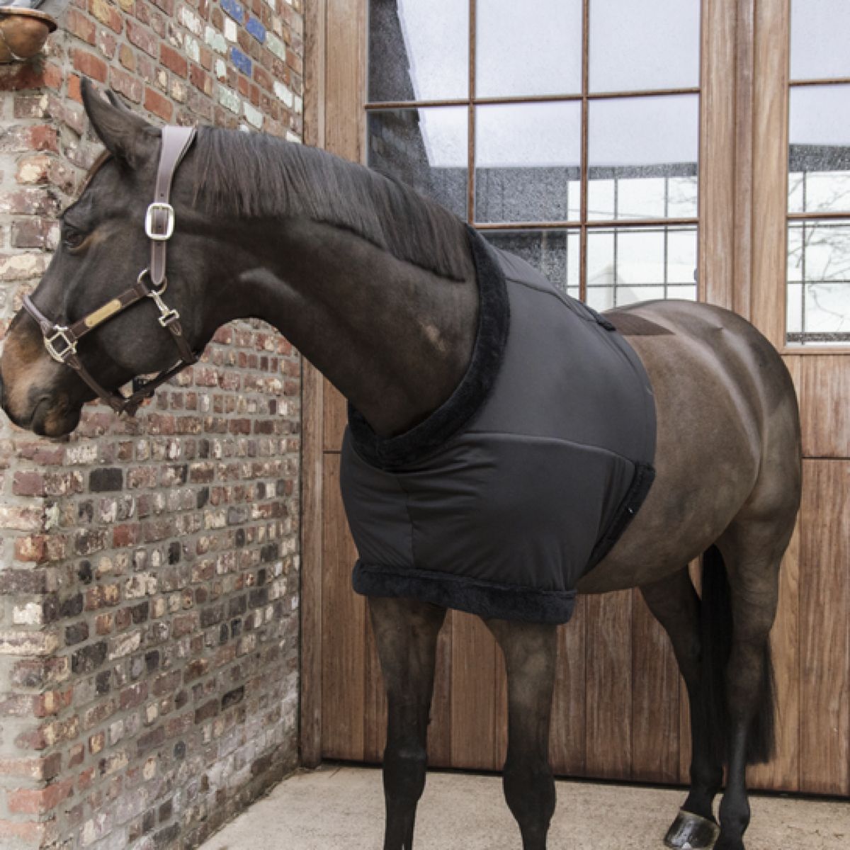 Kentucky Horsewear Protettore Torace Nero