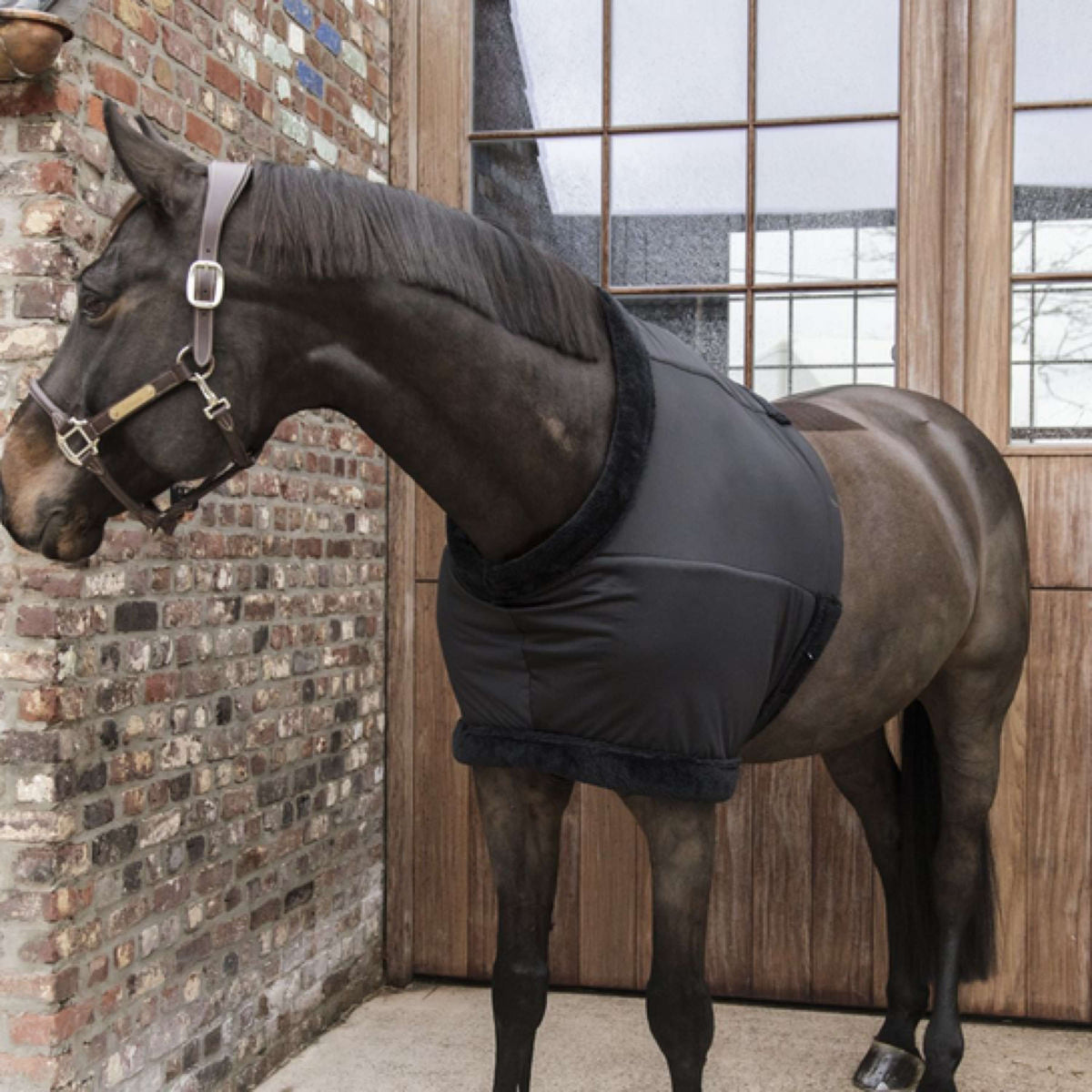 Kentucky Horsewear Protettore Torace Nero