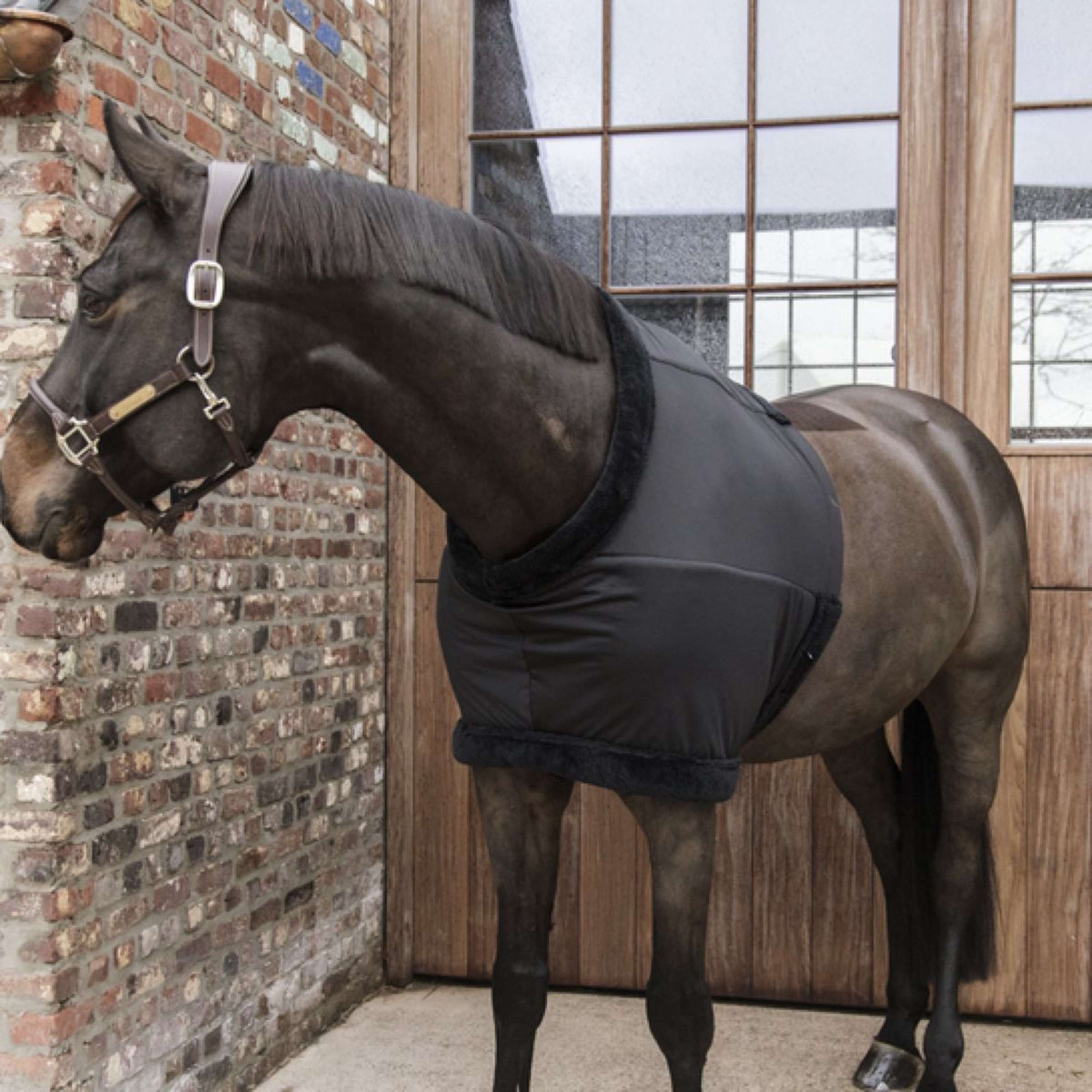 Kentucky Horsewear Protettore Torace Nero