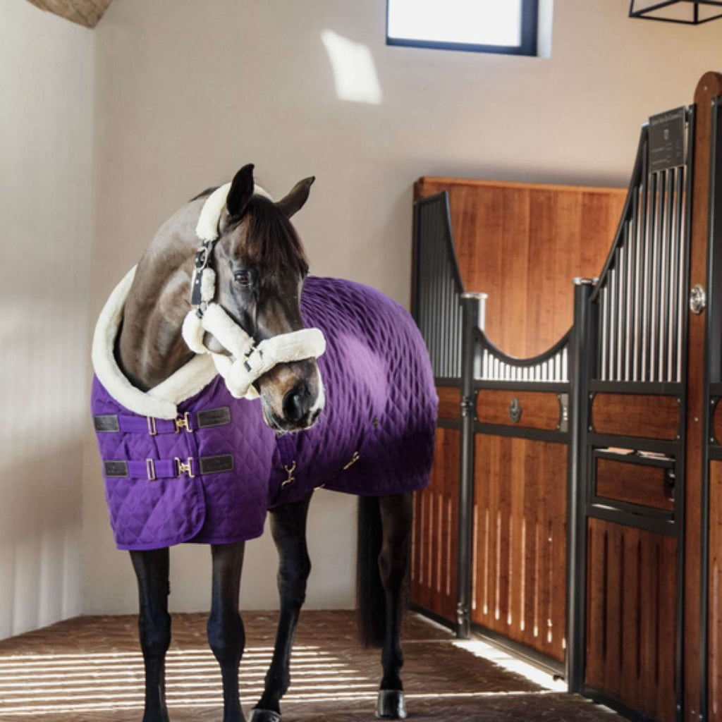 Kentucky Horsewear Coperta da esposizione Royal Viola