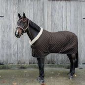 Kentucky Horsewear Coperta da esposizione 160g Marrone