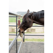 Grooming Deluxe by Kentucky Rilassa il cavallo giocattolo Wooden De-Stress