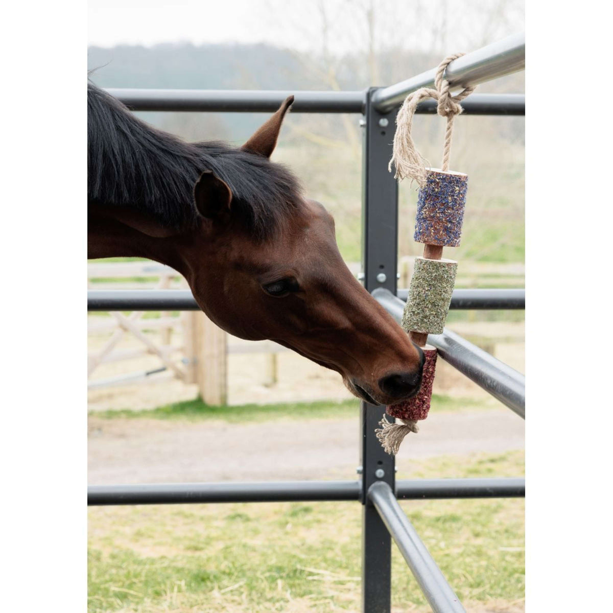 Grooming Deluxe by Kentucky Rilassa il cavallo giocattolo Wooden Freedom