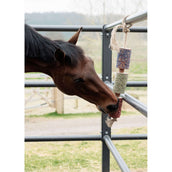 Grooming Deluxe by Kentucky Rilassa il cavallo giocattolo Wooden Freedom