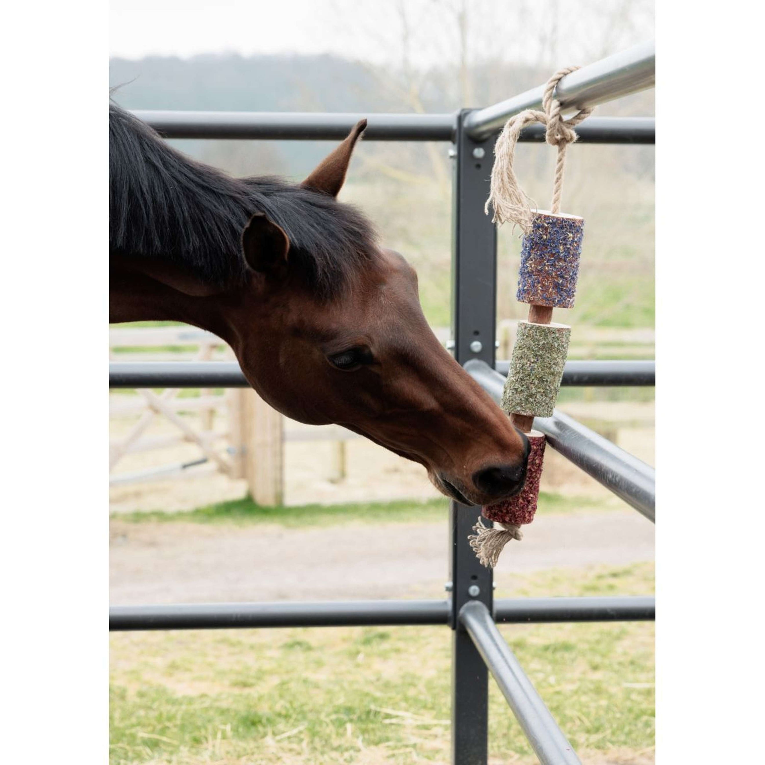Grooming Deluxe by Kentucky Rilassa il cavallo giocattolo Wooden Freedom
