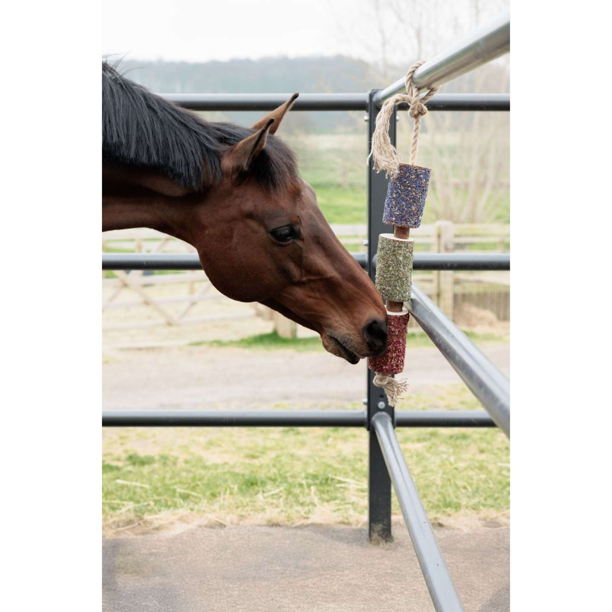 Grooming Deluxe by Kentucky Rilassa il cavallo giocattolo Wooden Freedom