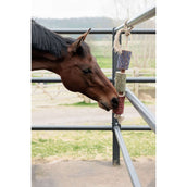 Grooming Deluxe by Kentucky Rilassa il cavallo giocattolo Wooden Freedom