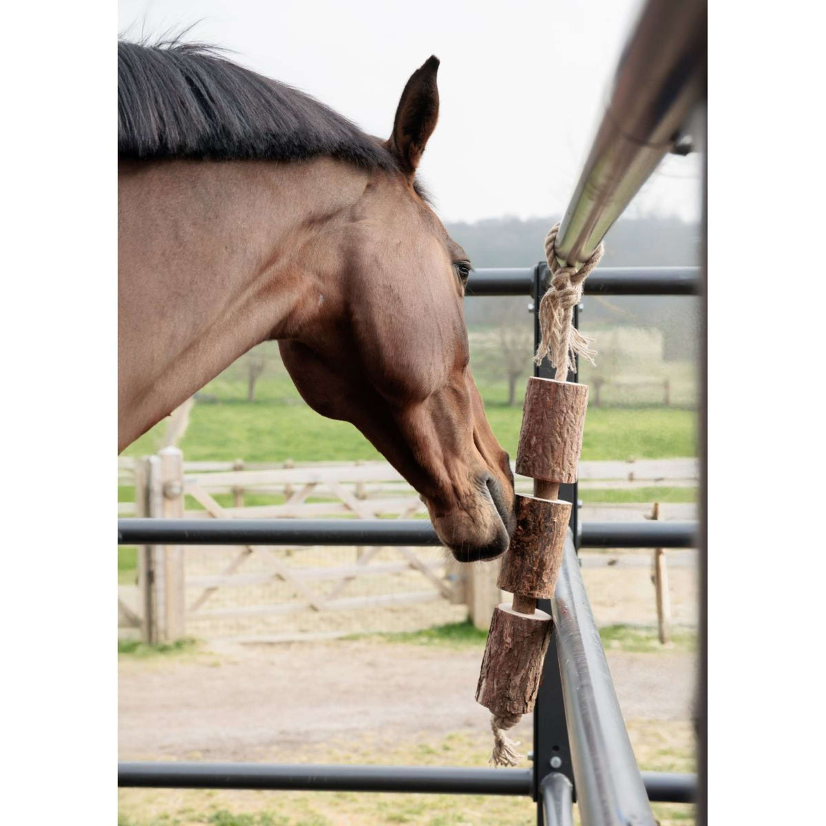 Grooming Deluxe by Kentucky Rilassa il cavallo giocattolo Wooden Made by Nature