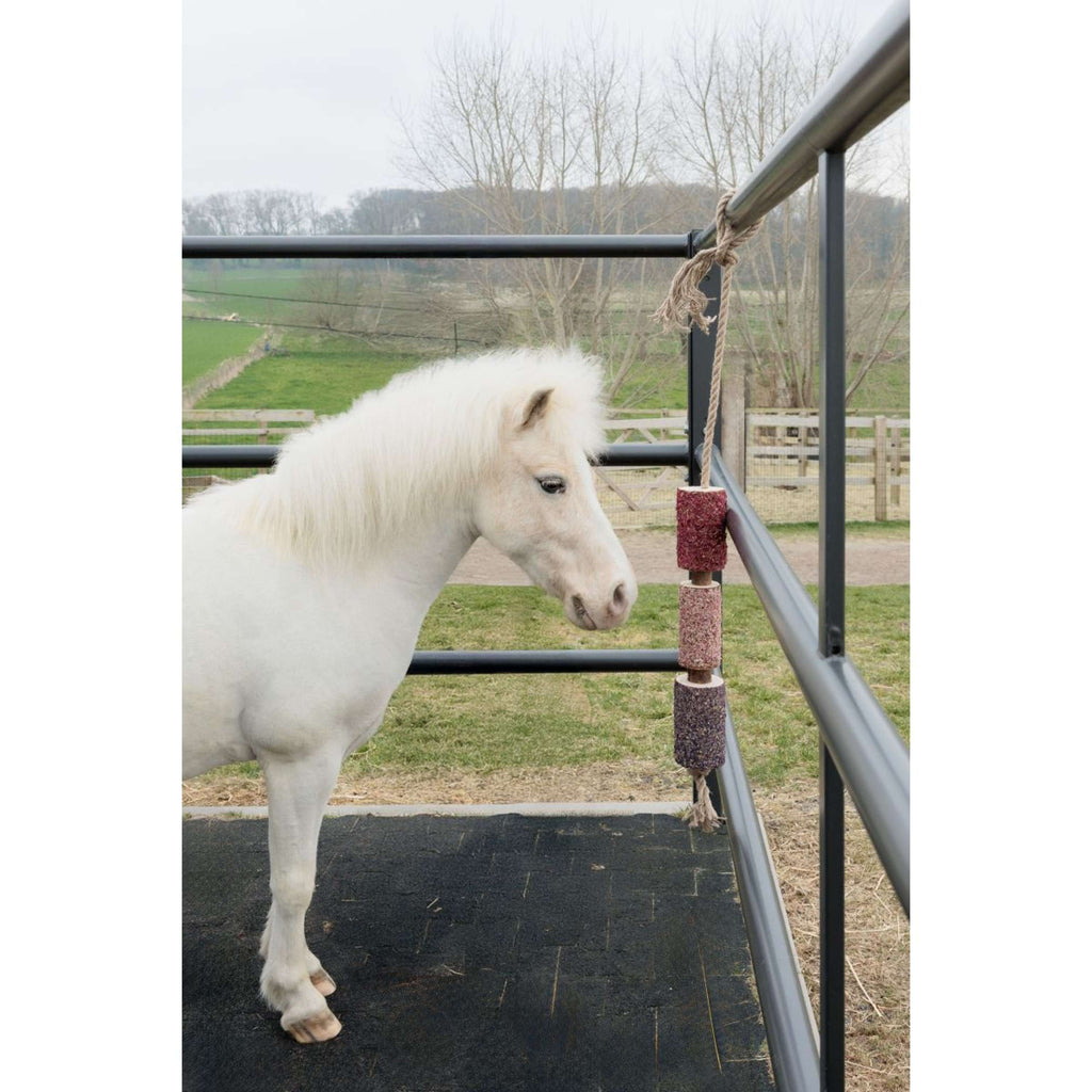 Grooming Deluxe by Kentucky Rilassa il cavallo giocattolo Wooden Unicorn Joy