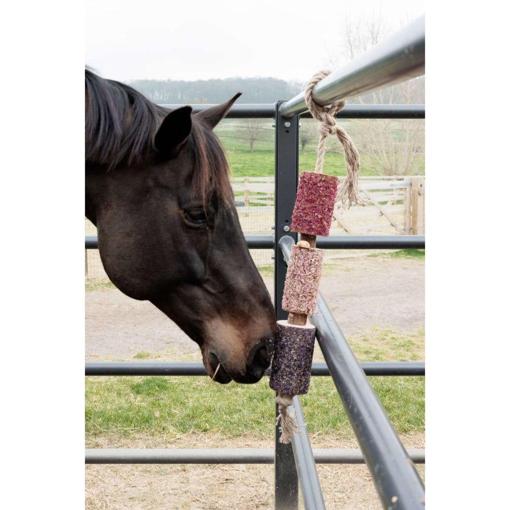 Grooming Deluxe by Kentucky Rilassa il cavallo giocattolo Wooden Unicorn Joy
