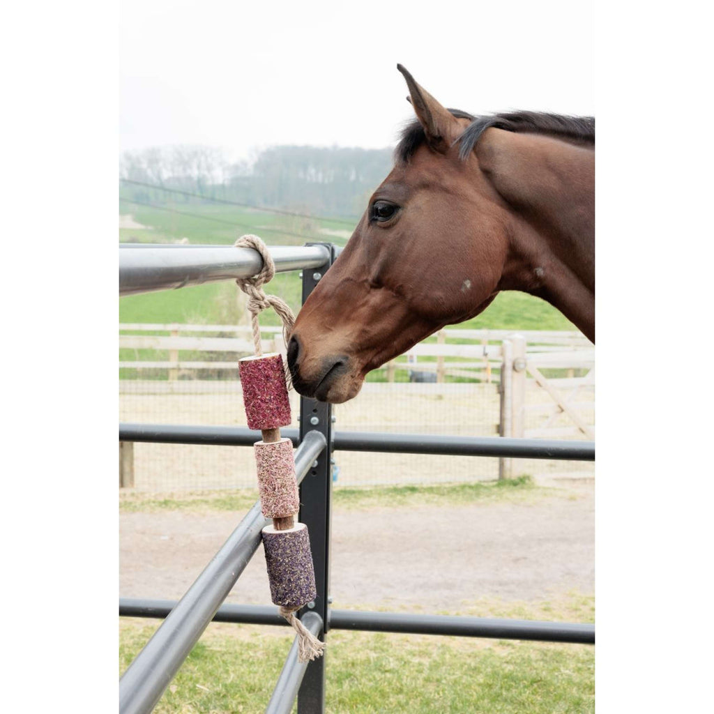 Grooming Deluxe by Kentucky Rilassa il cavallo giocattolo Wooden Unicorn Joy