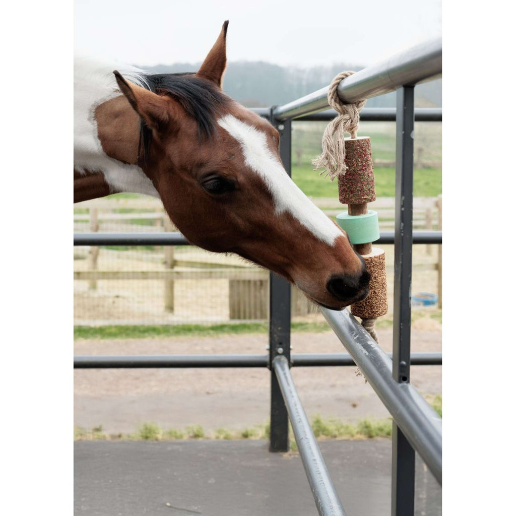 Grooming Deluxe by Kentucky Rilassa il cavallo giocattolo Wooden Airways with Salt Lick
