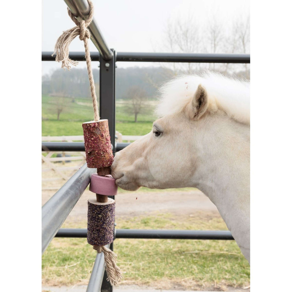 Grooming Deluxe by Kentucky Rilassa il cavallo giocattolo Wooden Sammy with Salt Lick