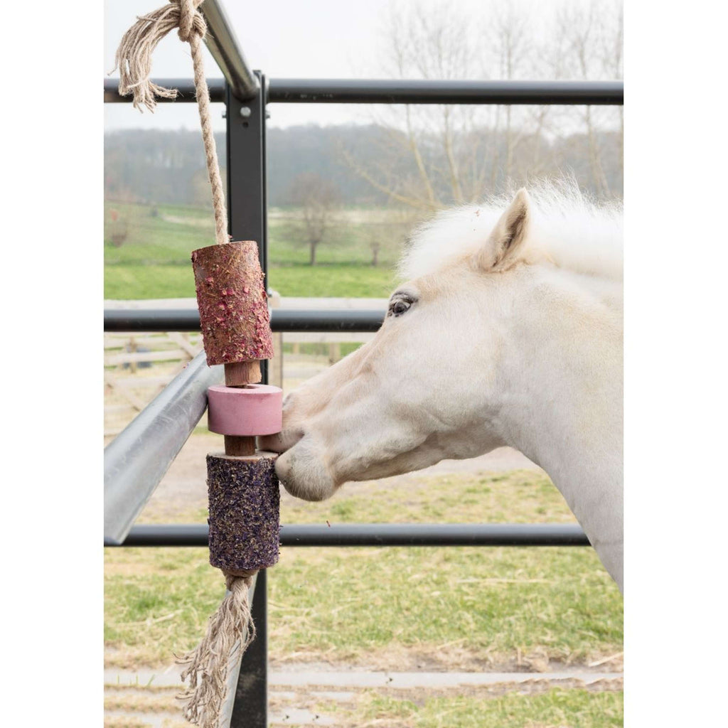 Grooming Deluxe by Kentucky Rilassa il cavallo giocattolo Wooden Sammy with Salt Lick