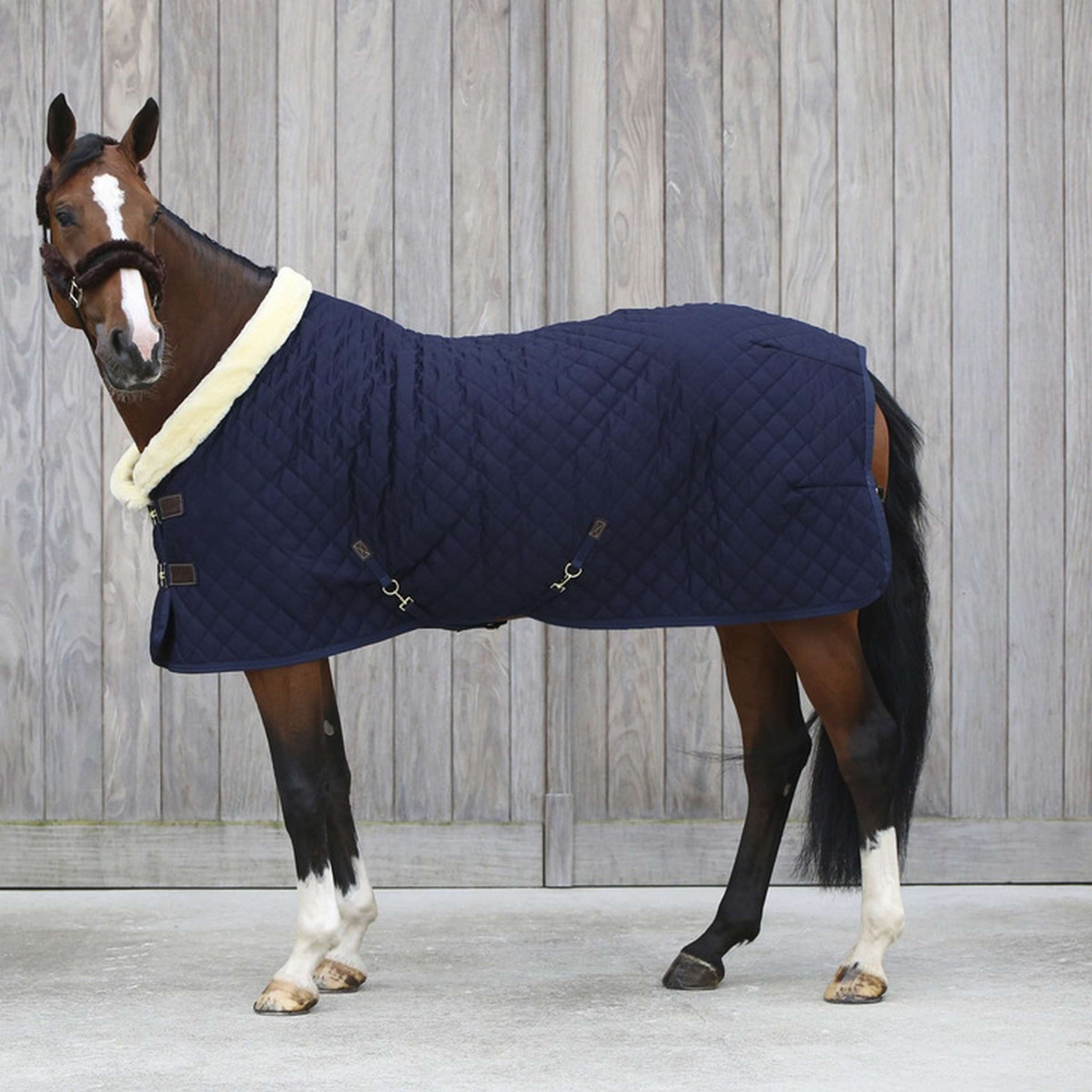 Kentucky Horsewear Coperta da esposizione 160g Navy