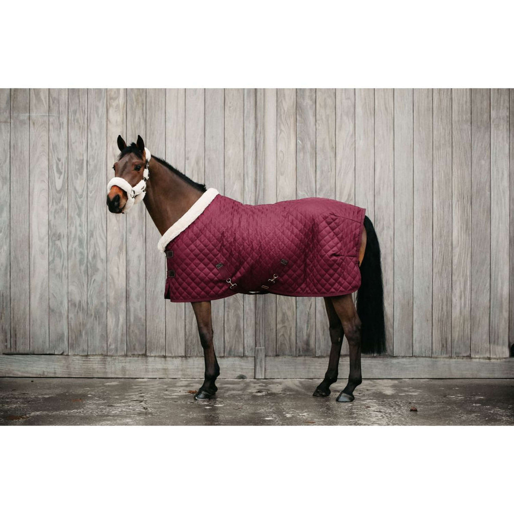 Kentucky Coperta da esposizione 160g Bordeaux