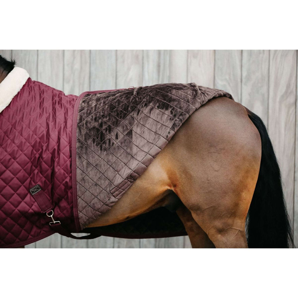 Kentucky Coperta da esposizione 160g Bordeaux