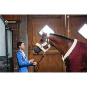 Kentucky Coperta da esposizione 160g Bordeaux