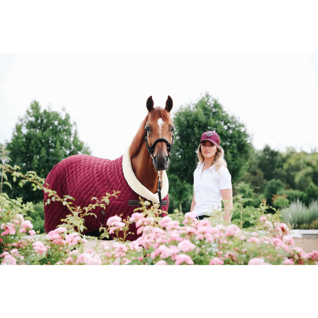 Kentucky Coperta da esposizione 160g Bordeaux