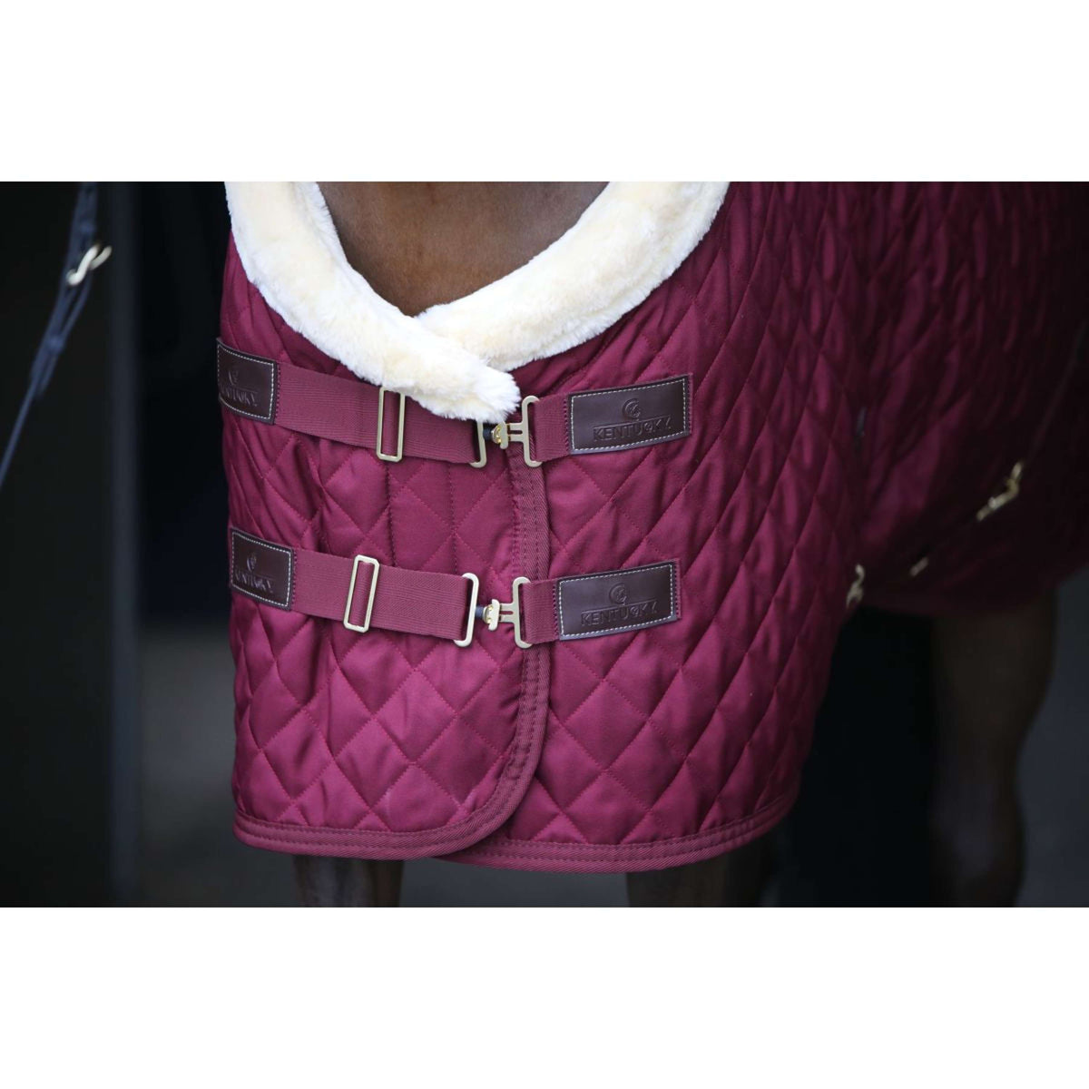 Kentucky Coperta da esposizione 160g Bordeaux