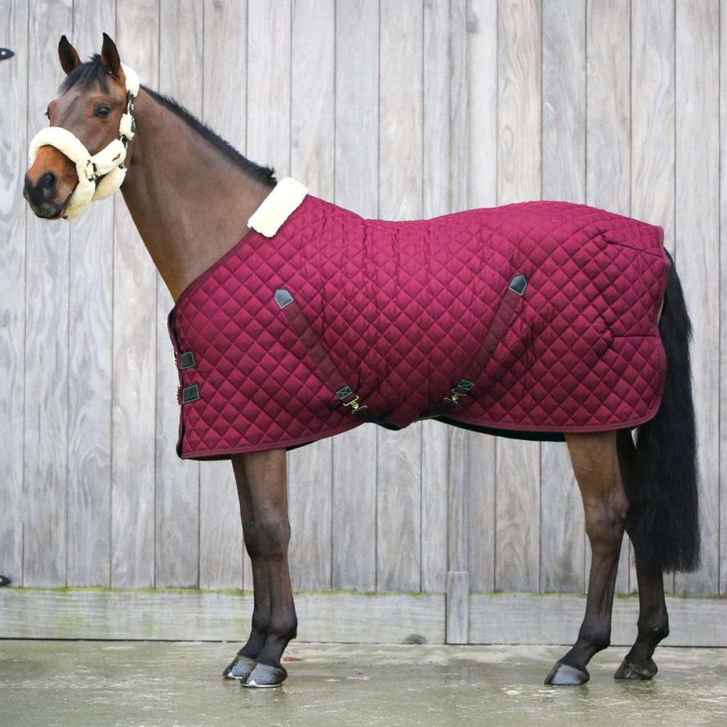 Kentucky Coperta da scuderia 400g Bordeaux