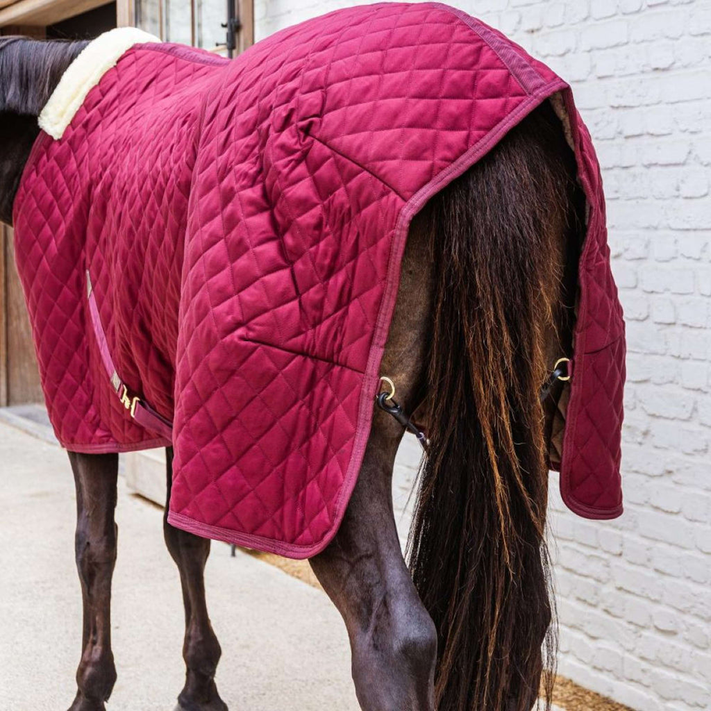 Kentucky Coperta da scuderia 400g Bordeaux